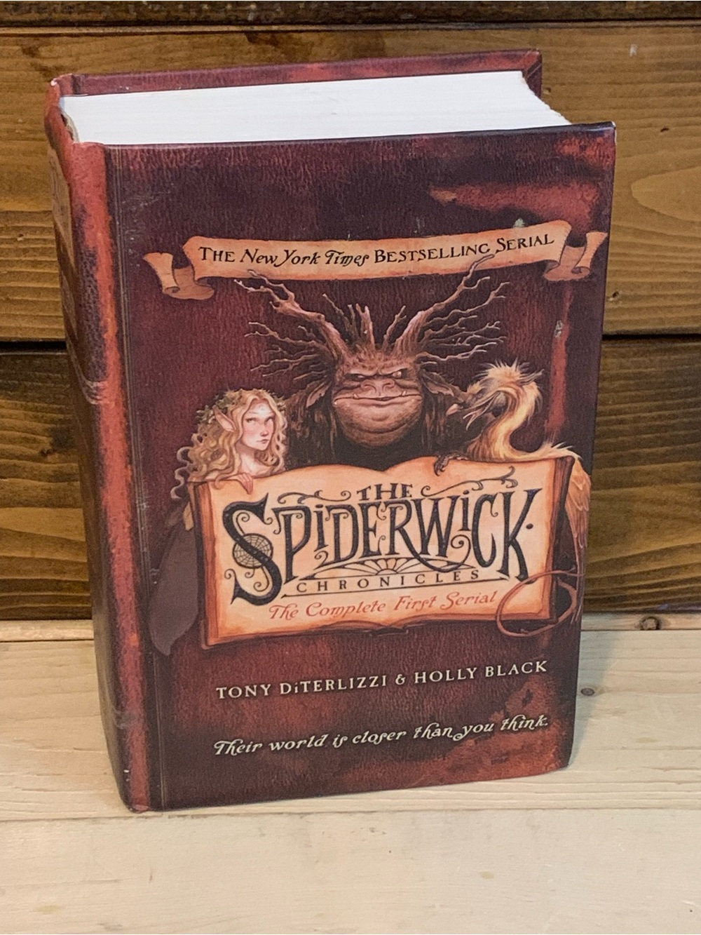 Scholastic Hardcover Book with Brown and Cream Illustrated Back Cover